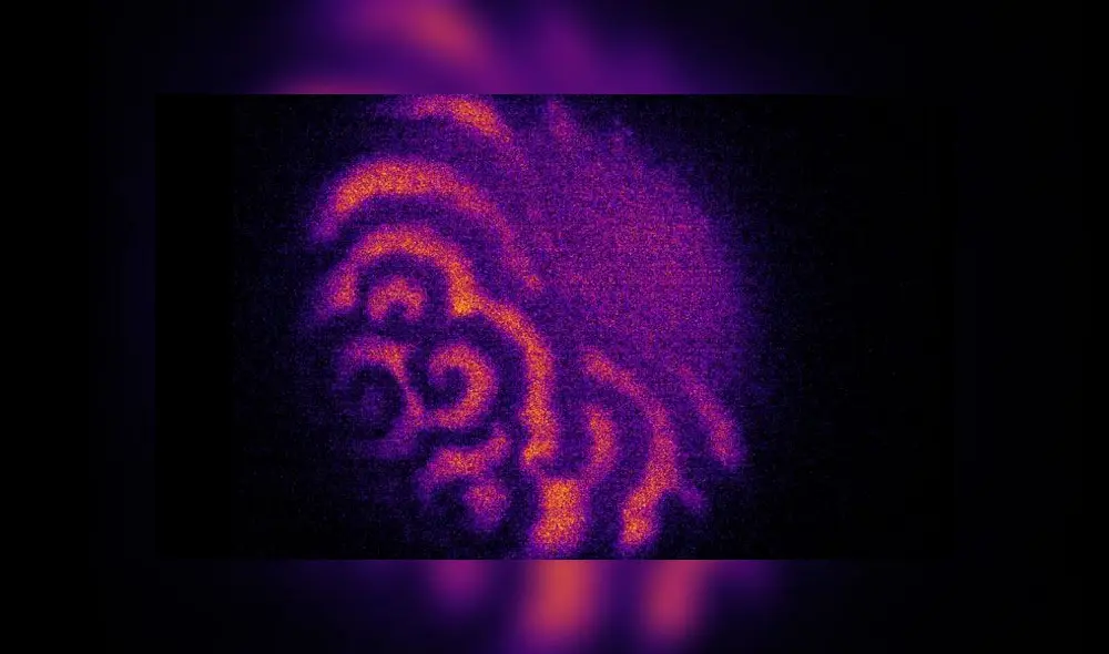 Ondas de proteínas cubren un cigoto de estrella de mar. Crédito: MIT.