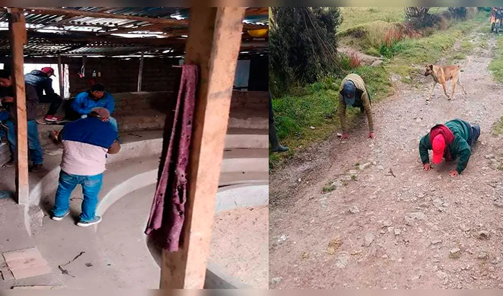 Ronderos intervienen pelea de gallos en Cajamarca Ronderos intervienen pelea de gallos en Cajamarca