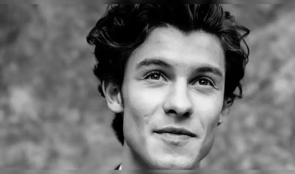 Shawn Mendes les pide a sus seguidores cuidarse el uno al otro. Foto: Instagram