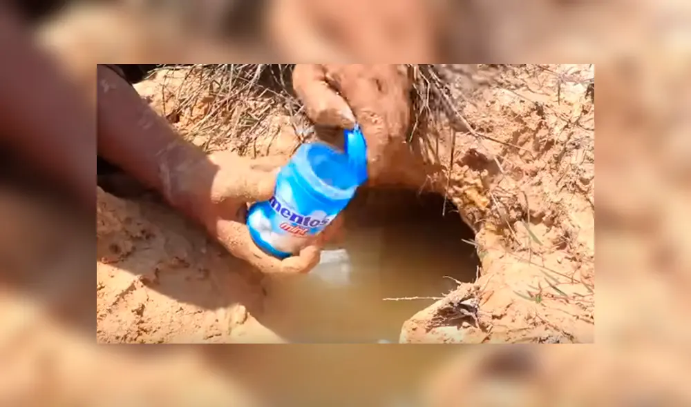 Desliza hacia la izquierda para ver el experimento que se viralizó en YouTube.