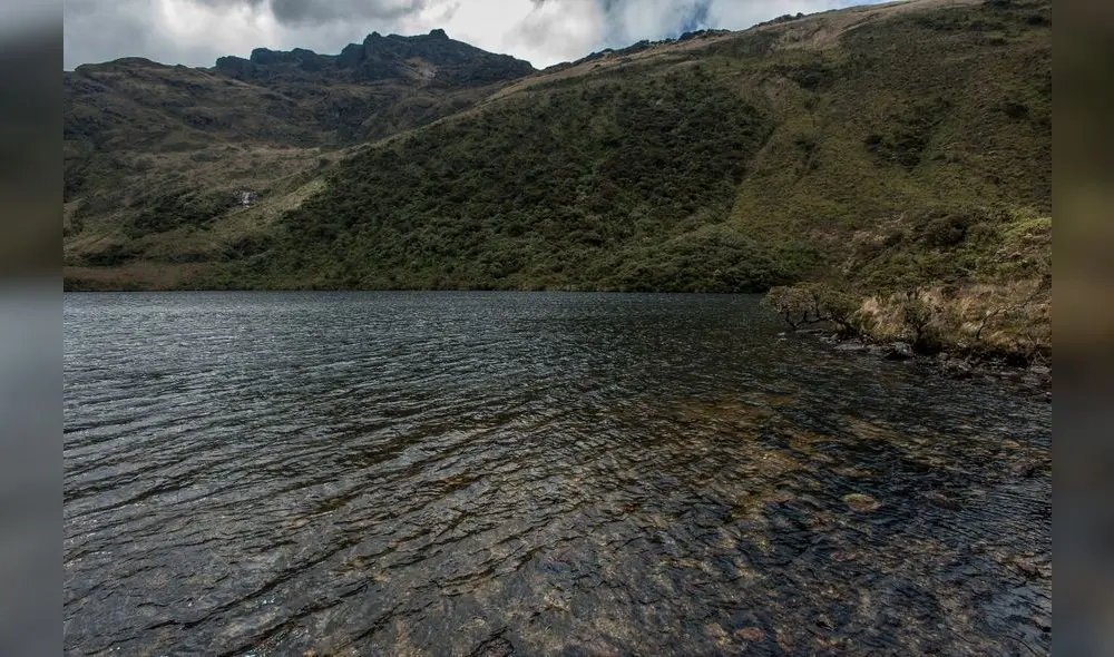 Los páramos de Piura aportan hasta 6 mil litros de agua por segundo
