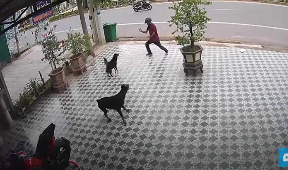 Desliza hacia la izquierda para ver las imágenes del video viral. Foto: Captura de YouTube. Desliza hacia la izquierda para ver las imágenes del video viral. Foto: Captura de YouTube.