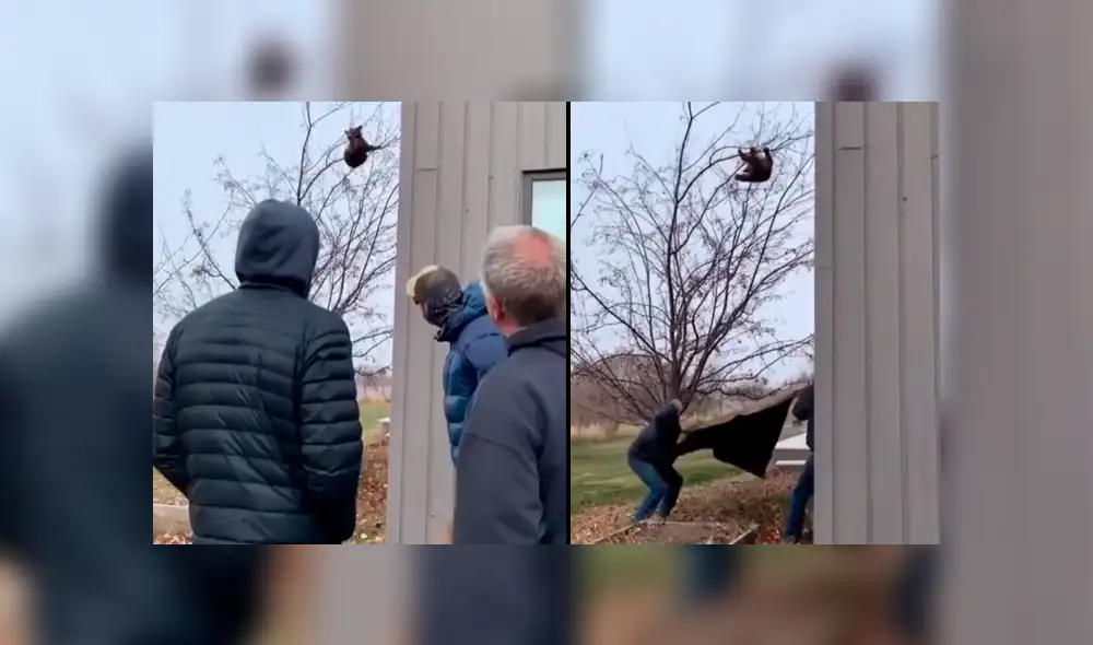 El osezno cayó, pero estos hombres ya tenían todo listo para ayudarlo. Foto: captura. El osezno cayó, pero estos hombres ya tenían todo listo para ayudarlo. Foto: captura.