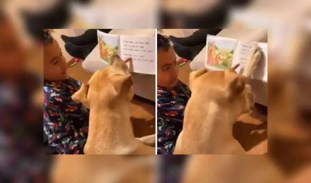 Desliza las imágenes para ver más detalles de esta escena que es viral en YouTube. Desliza las imágenes para ver más detalles de esta escena que es viral en YouTube.