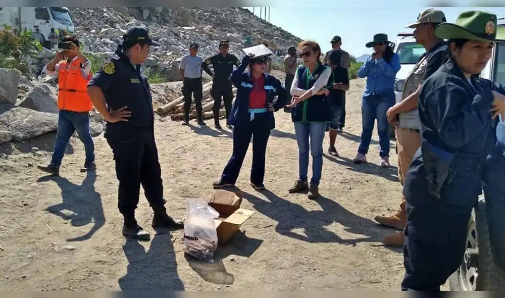 Trabajo conjunto de las autoridades fue importante.