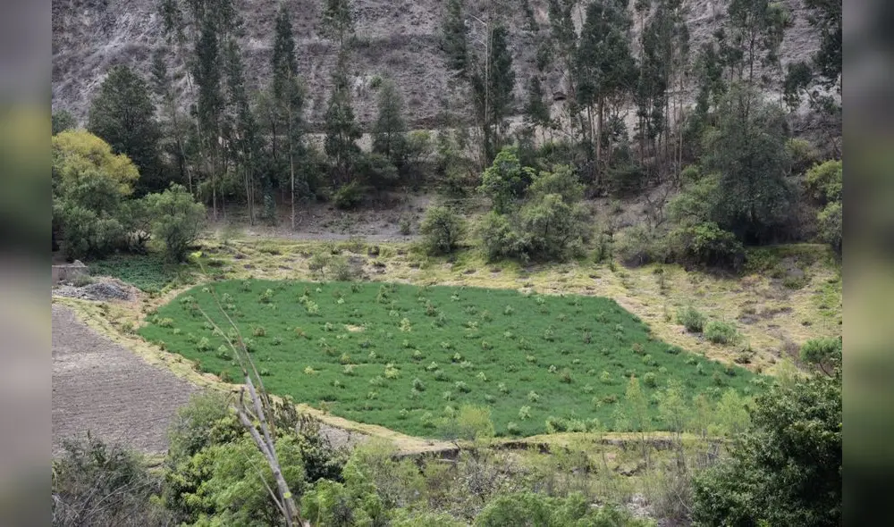Se capacitará a los productores locales. (Foto: Municipalidad de Julcán).