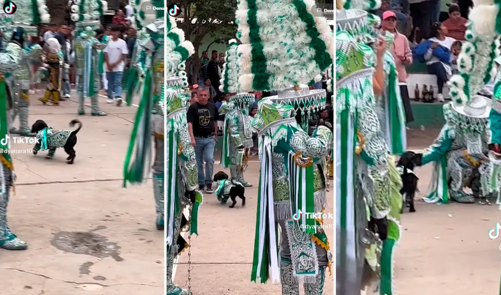 La mascota se robó las miradas en plena presentación de los ‘Negritos de Huánuco’. Foto: composición de LR/ captura de TikTok/@Dyanara10 La mascota se robó las miradas en plena presentación de los ‘Negritos de Huánuco’. Foto: composición de LR/ captura de TikTok/@Dyanara10