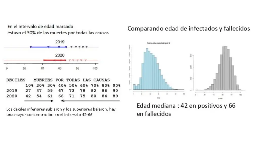Gráficas realizadas por la estadista Edith Seier sobre el intervalo de edad de las personas que fallecen durante la pandemia. Gráficas realizadas por la estadista Edith Seier sobre el intervalo de edad de las personas que fallecen durante la pandemia.