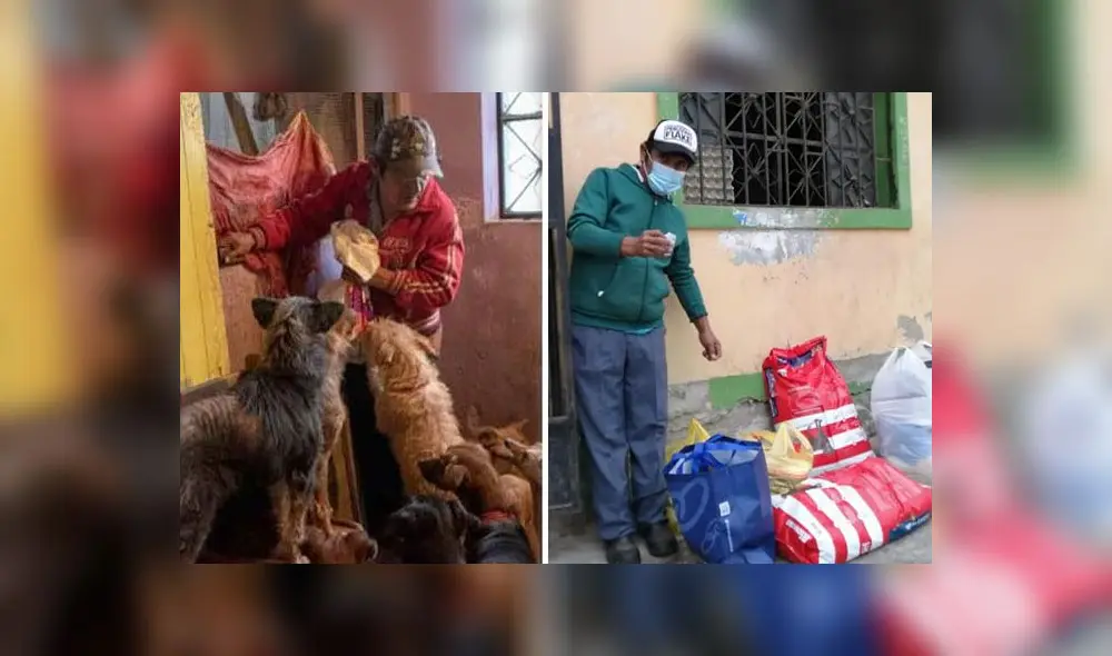 Solicitan ayuda para albergue de perritos |Créditos: composición / FB La casa de Rolando Solicitan ayuda para albergue de perritos |Créditos: composición / FB La casa de Rolando