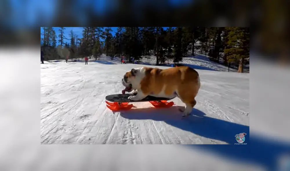 Desliza para ver los detalles del video viral de YouTube. Foto: Captura.