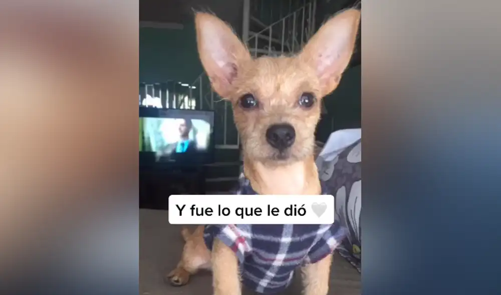 Desliza hacia la izquierda para ver las imágenes del video viral. Foto: captura de TikTok. Desliza hacia la izquierda para ver las imágenes del video viral. Foto: captura de TikTok.