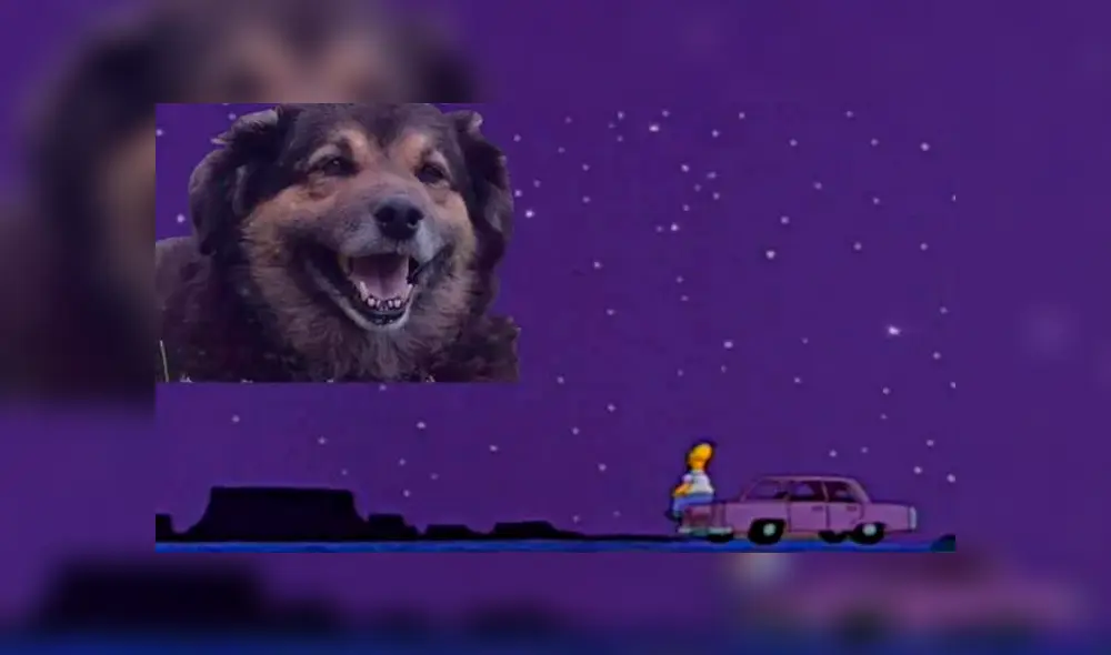 Facebook viral: alumnos de la UNMSM despiden a su 'Perrovaca' con sentimentales memes [FOTOS] 