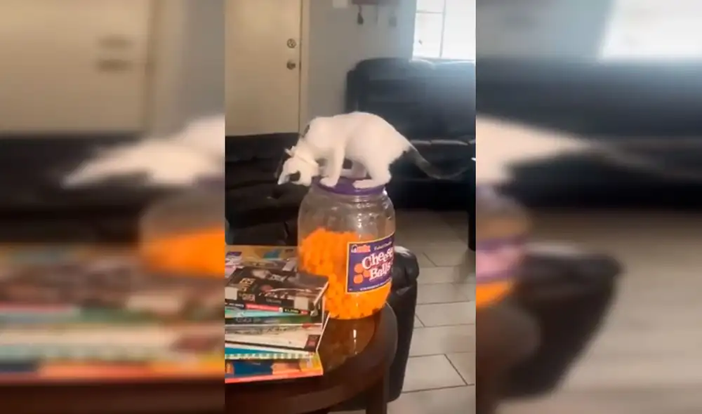 Desliza las imágenes hacia la izquierda para conocer la diablura de un gato bebé ante la ausencia de su dueña. Fotocaptura: Facebook.