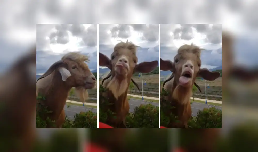 Desliza las imágenes para ver más detalles de esta escena que es viral en YouTube. Desliza las imágenes para ver más detalles de esta escena que es viral en YouTube.