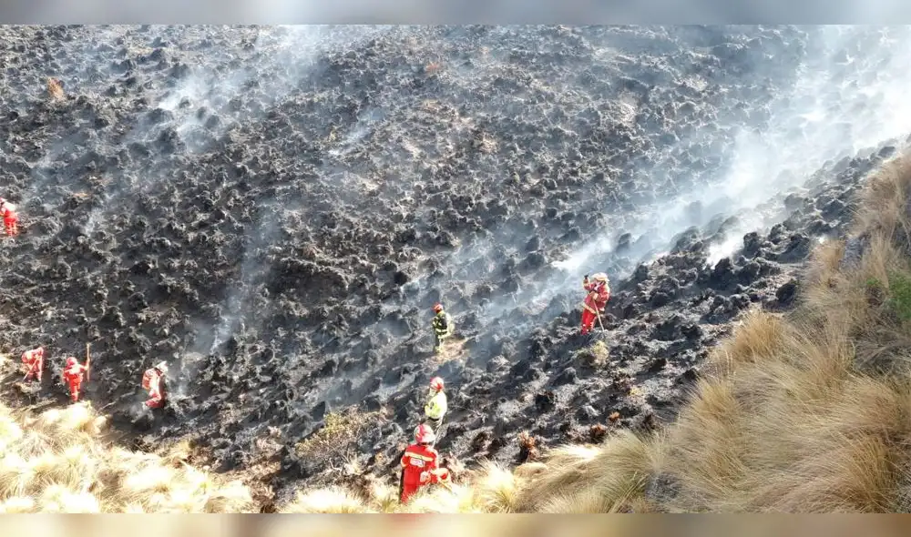incendio forestal arrasa recursos naturales de Llamaqcancha