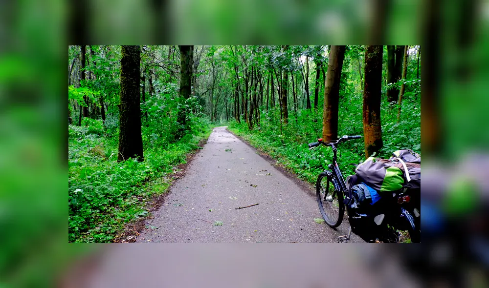 Joven logró librarse de su captor luego de alabar el trabajo de jardinería de este. Foto: Referencial Joven logró librarse de su captor luego de alabar el trabajo de jardinería de este. Foto: Referencial