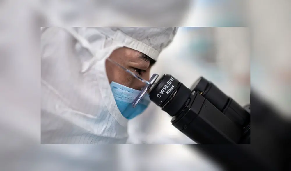 Los científicos hallaron el anticuerpo entre millones de otros guardados durante décadas. Foto: referencial / AFP.