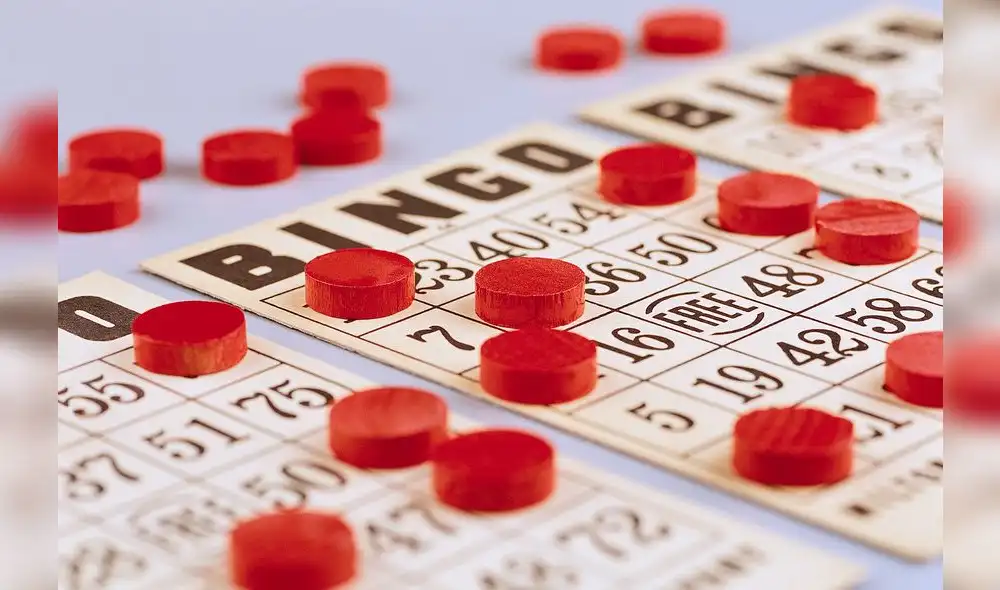 Bingo Cards and Chips Bingo Cards and Chips