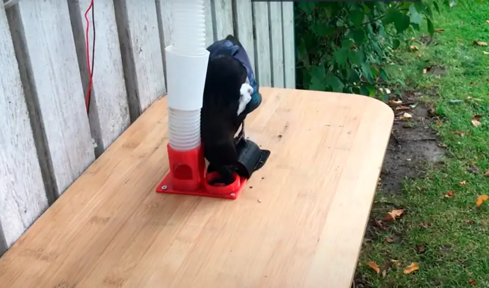 El video ya cuenta con más de 60.000 reproducciones. Foto: Hans Forsberg / YouTube El video ya cuenta con más de 60.000 reproducciones. Foto: Hans Forsberg / YouTube