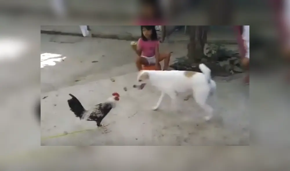 Desliza hacia la izquierda para ver más del video viral.