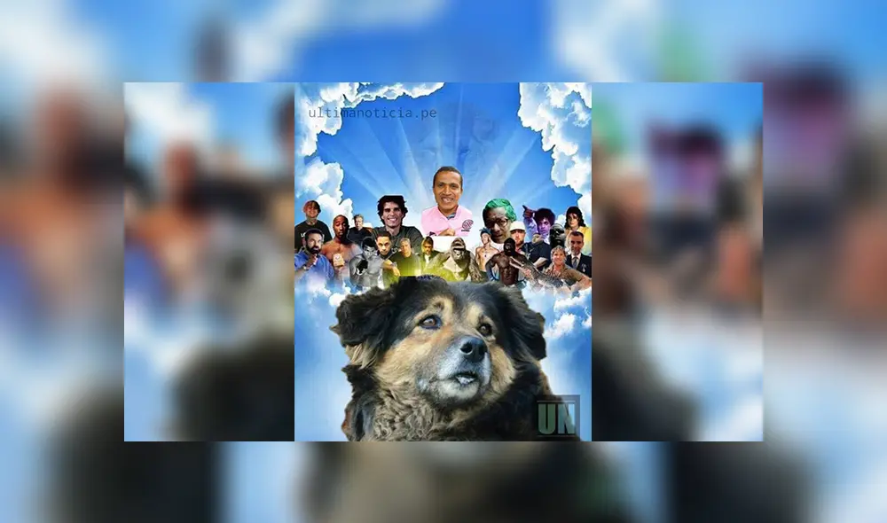 Facebook viral: alumnos de la UNMSM despiden a su 'Perrovaca' con sentimentales memes [FOTOS] 