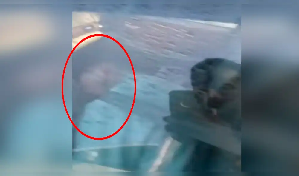 Intentaron despertar a un chofer borracho, pero todo terminó mal [VIDEO]