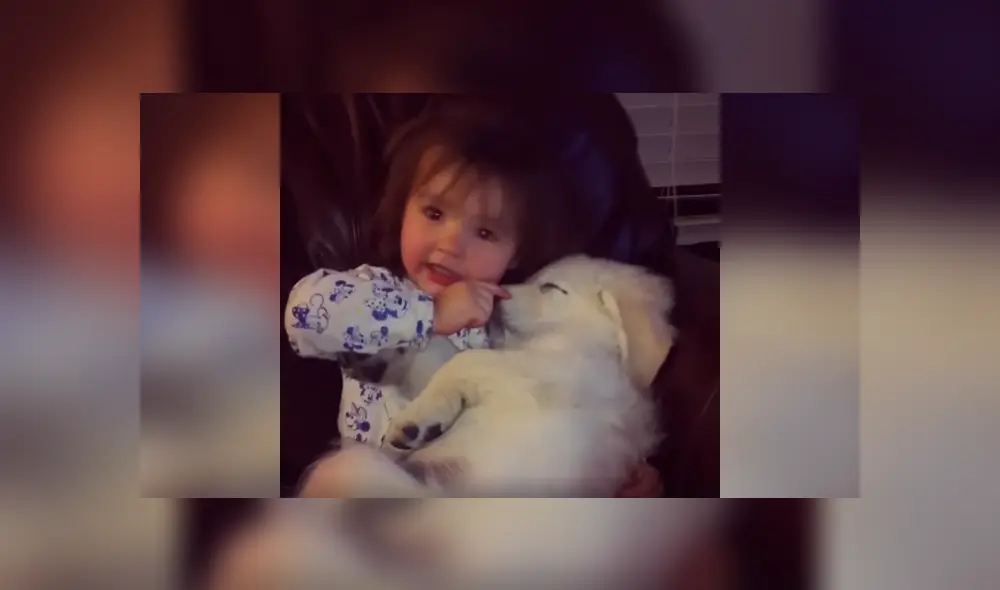 Desliza las imágenes para apreciar la amorosa escena que protagonizaron un perro junto a un pequeña. Desliza las imágenes para apreciar la amorosa escena que protagonizaron un perro junto a un pequeña.