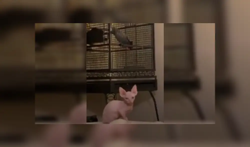 Desliza las imágenes para ver más detalles de esta escena que es viral en Facebook. Desliza las imágenes para ver más detalles de esta escena que es viral en Facebook.