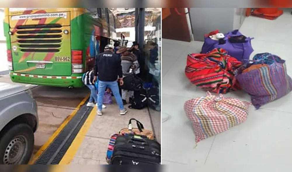 Cusco: arrestan a mujeres que trasladaban 17 kilos de droga en bus interprovincial Cusco: arrestan a mujeres que trasladaban 17 kilos de droga en bus interprovincial