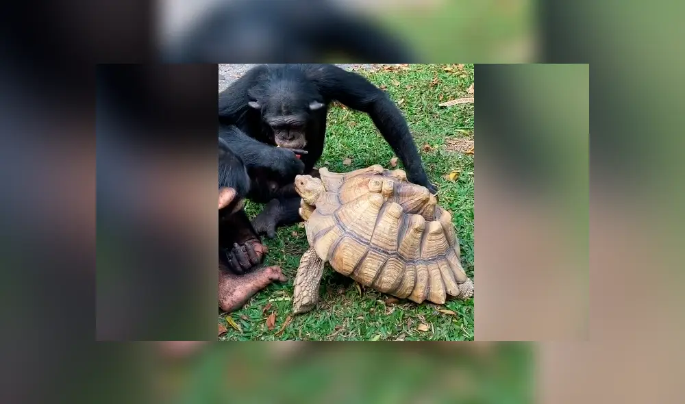 Desliza para ver todas las imágenes de TikTok.