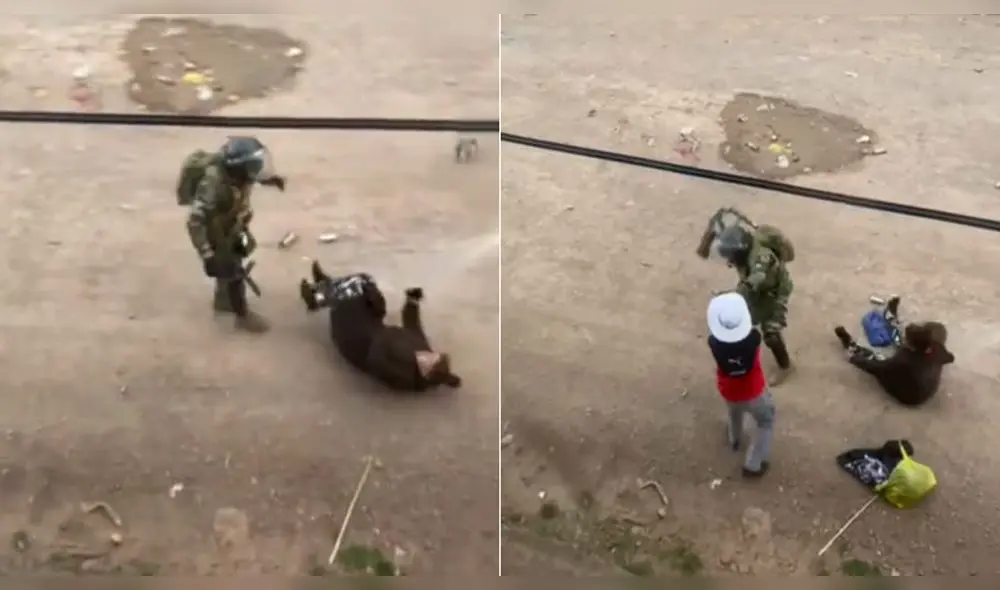 Momentos en que menor defiende a su madre, pero es violentamente agredido. Foto: captura video redes