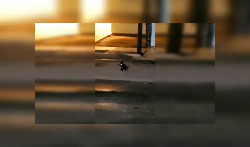 Desliza para ver los detalles de esta historia que se viralizó en Facebook. Foto: Captura.