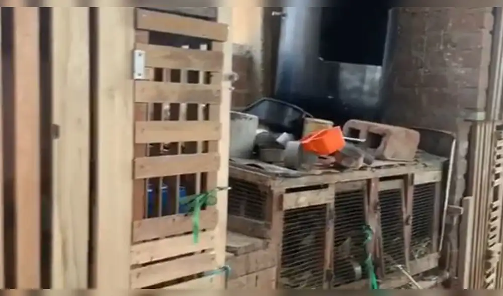 Esta actividad se llevó a cabo por la constantes denuncias de los vecinos. Esta actividad se llevó a cabo por la constantes denuncias de los vecinos.