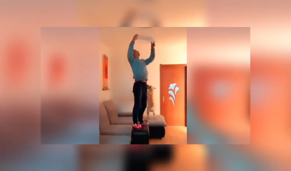 Video es viral en Facebook. El can sorprendió a más de uno al obedecer cada una de las órdenes de su dueño y permanecer con él hasta que haya terminado Video es viral en Facebook. El can sorprendió a más de uno al obedecer cada una de las órdenes de su dueño y permanecer con él hasta que haya terminado