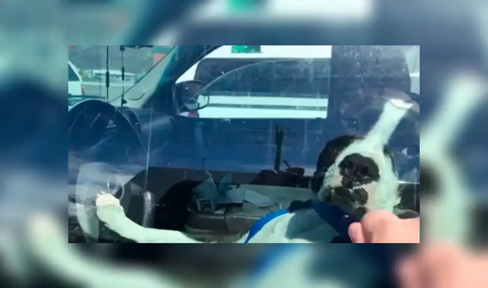 Youtube viral: busca a chofer escandaloso para enfrentarlo y queda desconcertado con su identidad [VIDEO]