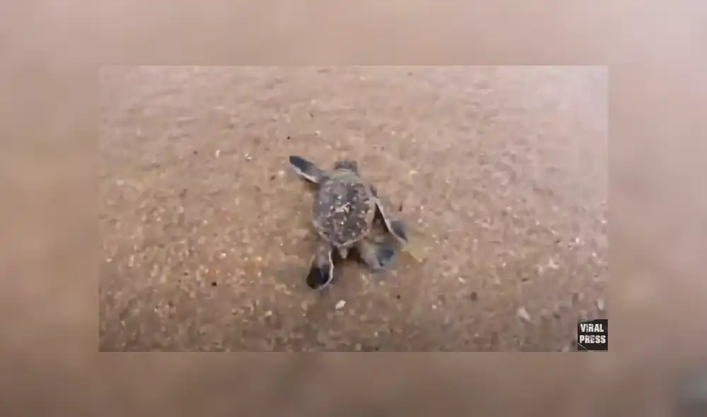 Desliza para ver los detalles del video viral publicado en YouTube. Foto: Captura.