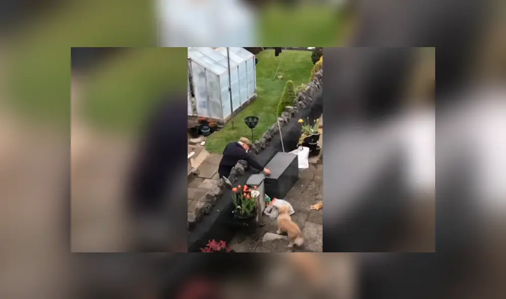 Desliza las imágenes para apreciar el amoroso momento entre un perro y su vecino durante la cuarentena.
