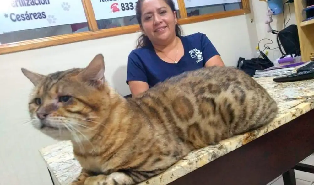 Esta exótica especie tiene un costo de aproximadamente 2.000 dólares. Foto: captura de Facebook