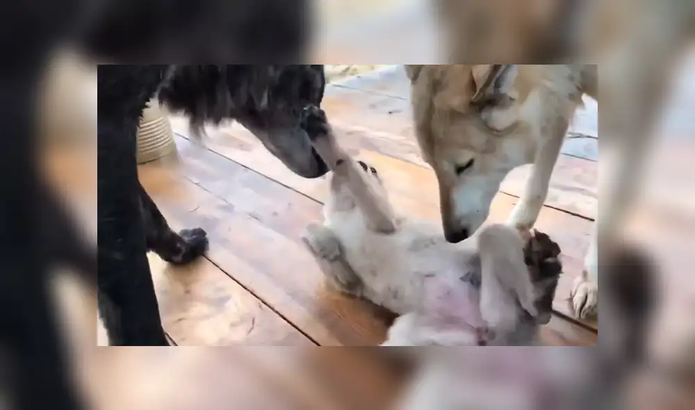 Desliza para ver las imágenes más emotivas del video que se hizo viral en YouTube. Desliza para ver las imágenes más emotivas del video que se hizo viral en YouTube.