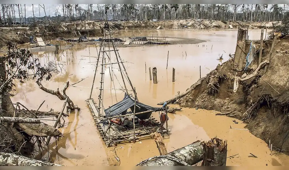 Madre de Dios: Depredación de bosques avanza impulsada por la fiebre del oro