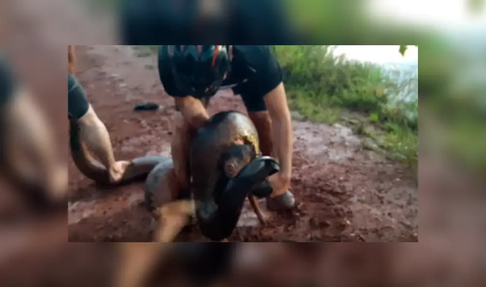 Video es viral en YouTube. Ciclista llegó con su perro a un río para beber agua y fueron sorprendidos por una gigantesca anaconda que atacó intempestivamente al can