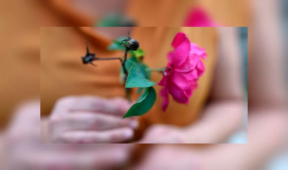 Día de la Madre 2019: ¿Qué día se celebra en el mundo?