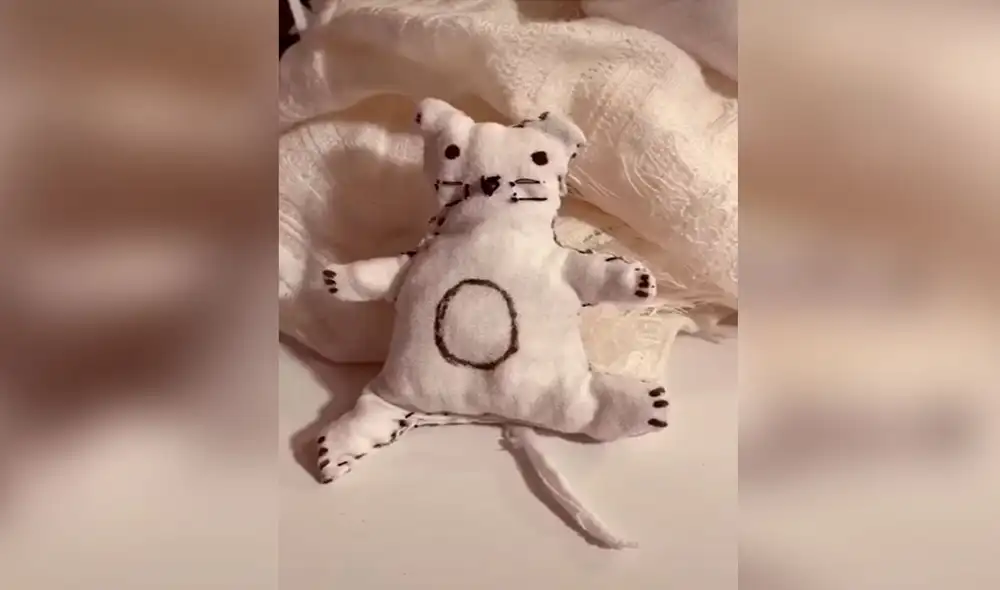 Desliza las imágenes para conocer la conmovedora historia de una gatita que perdió a su bebé y recibió el apoyo de su dueña. Foto: captura de TikTok