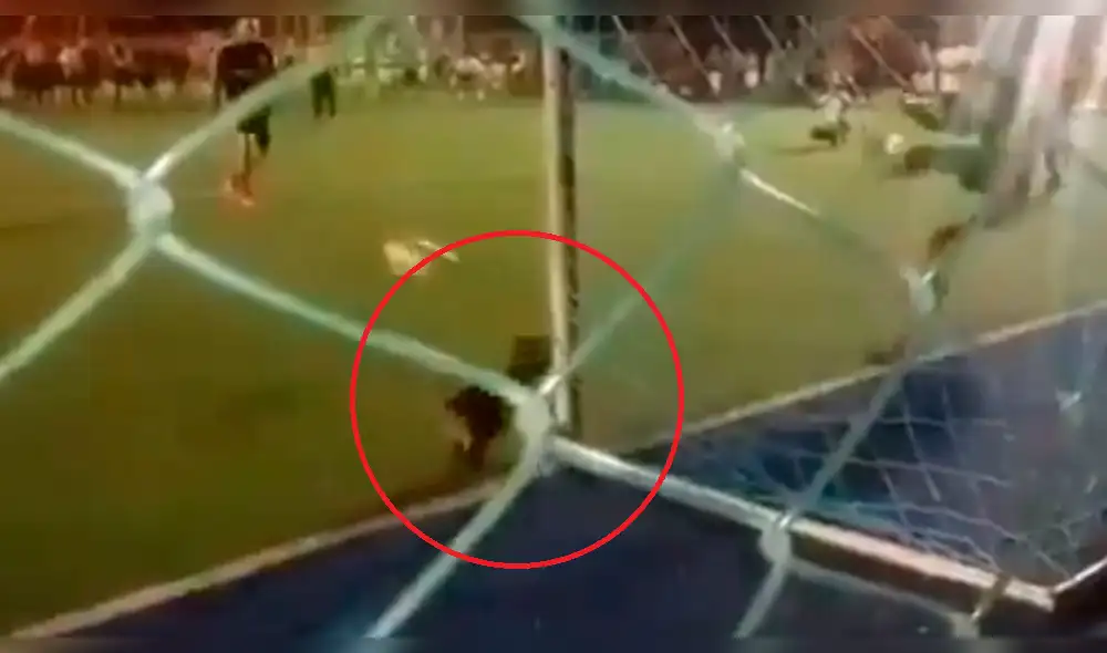 Facebook: perro se mete a una cancha y tapa el penal de la final de un campeonato [VIDEO]