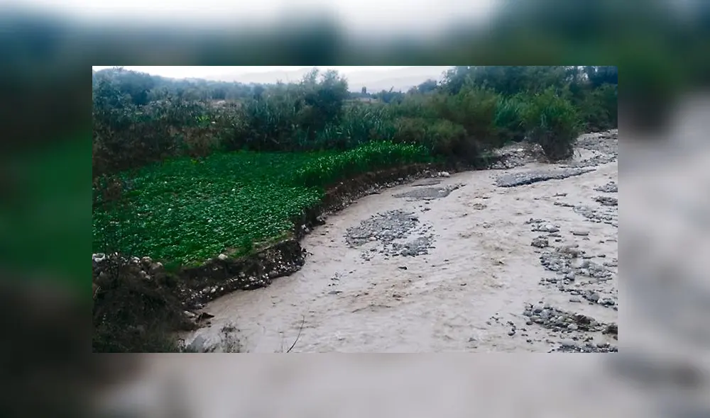 Crecida afectó sus campos. Crecida afectó sus campos.