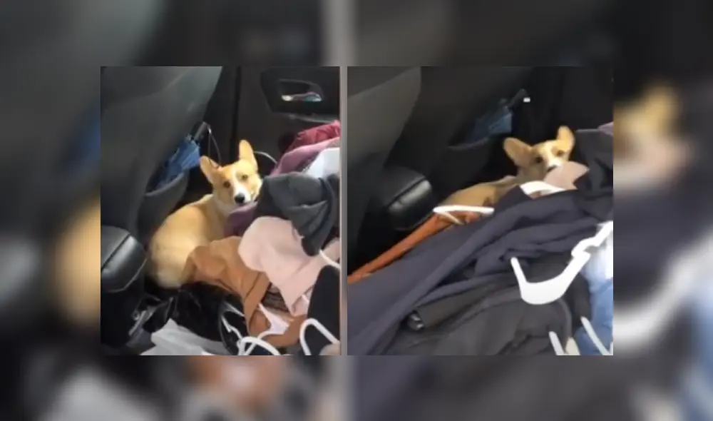 Desliza hacia la izquierda para ver más del video viral. Fotocaptura: YouTube