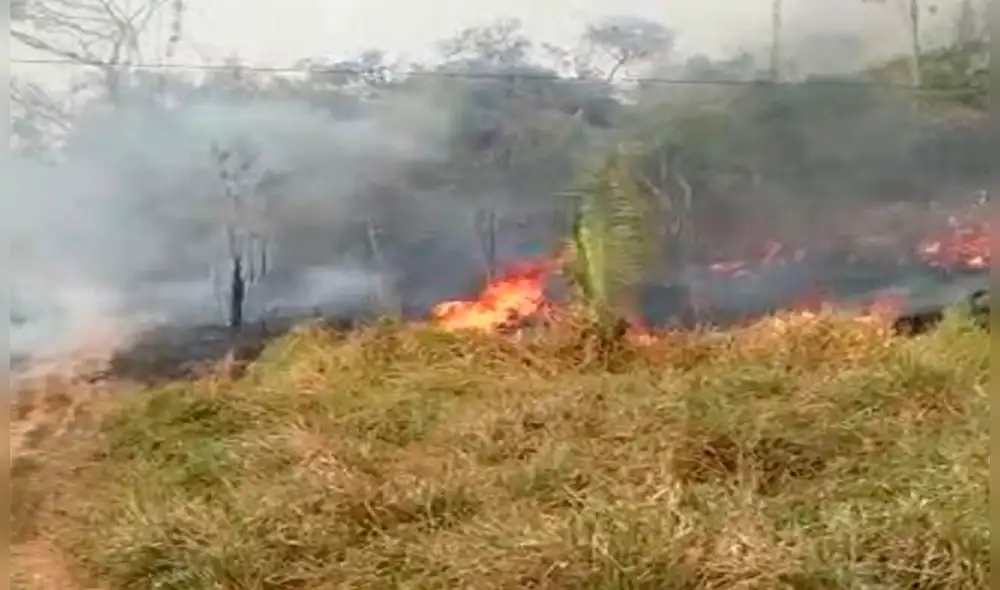 El incendio forestal se registró en el distrito de Santa Ana. (Foto: Referencial/Andina) El incendio forestal se registró en el distrito de Santa Ana. (Foto: Referencial/Andina)