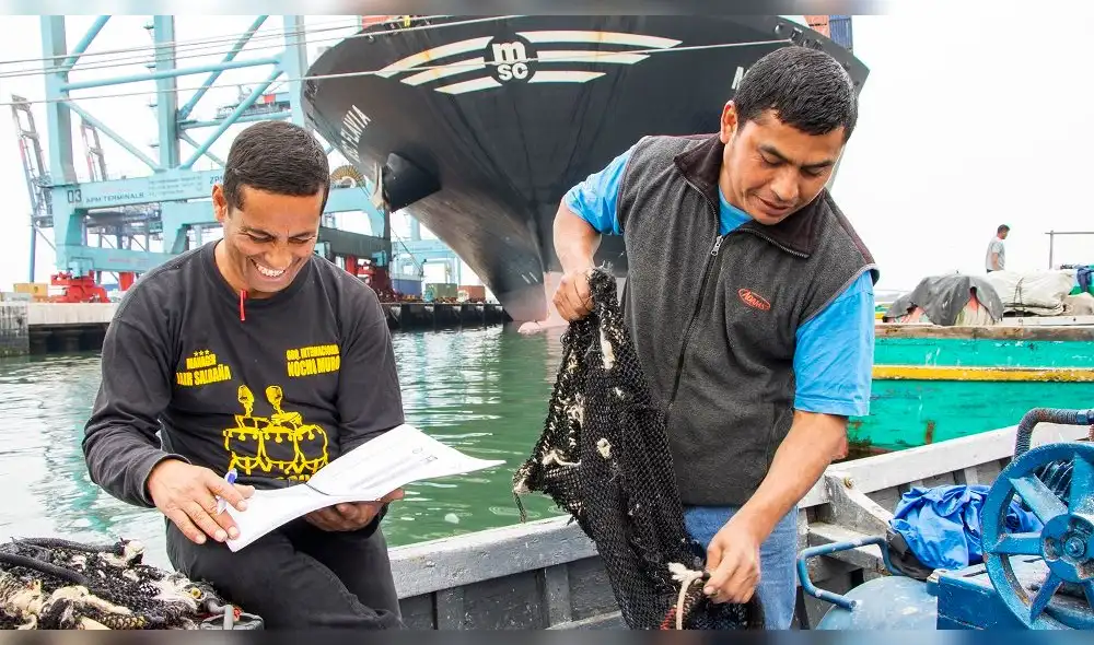 Minedu: pescadores artesanales estudian en puertos para culminar educación básica