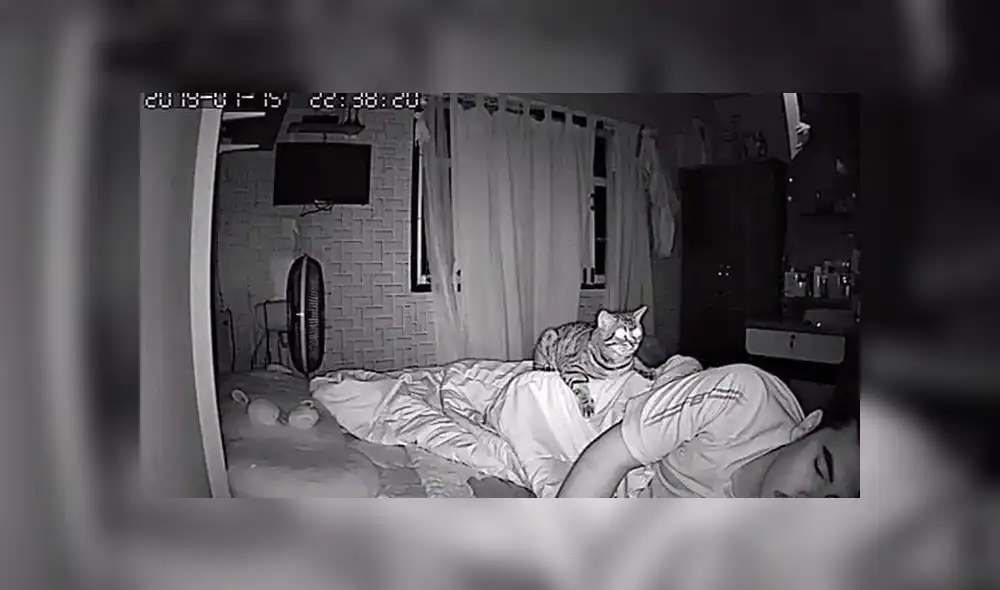 Facebook viral: gato aprovecha que su dueño duerme para expresar su amor por él [FOTOS]