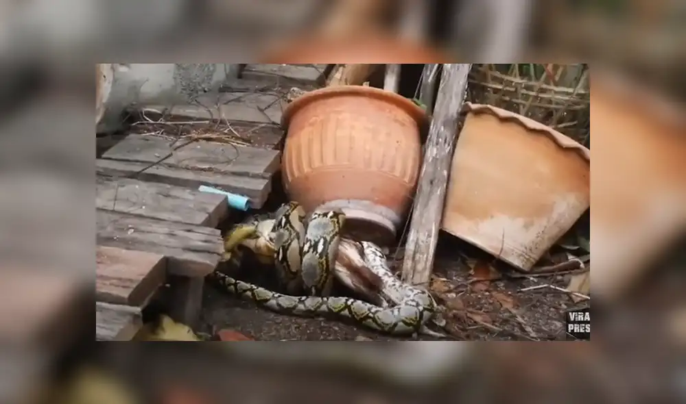 Desliza para ver los detalles del video viral publicado en YouTube. Foto: Captura. Desliza para ver los detalles del video viral publicado en YouTube. Foto: Captura.